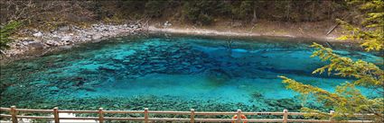 Blue Lake - Jiuzhaigou National Park - China (PBH4 00 15486)